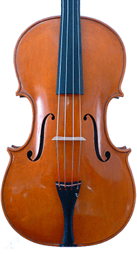 Viola 45 - 2013