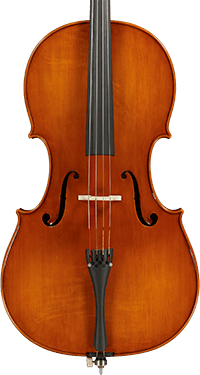 Violoncello 2010