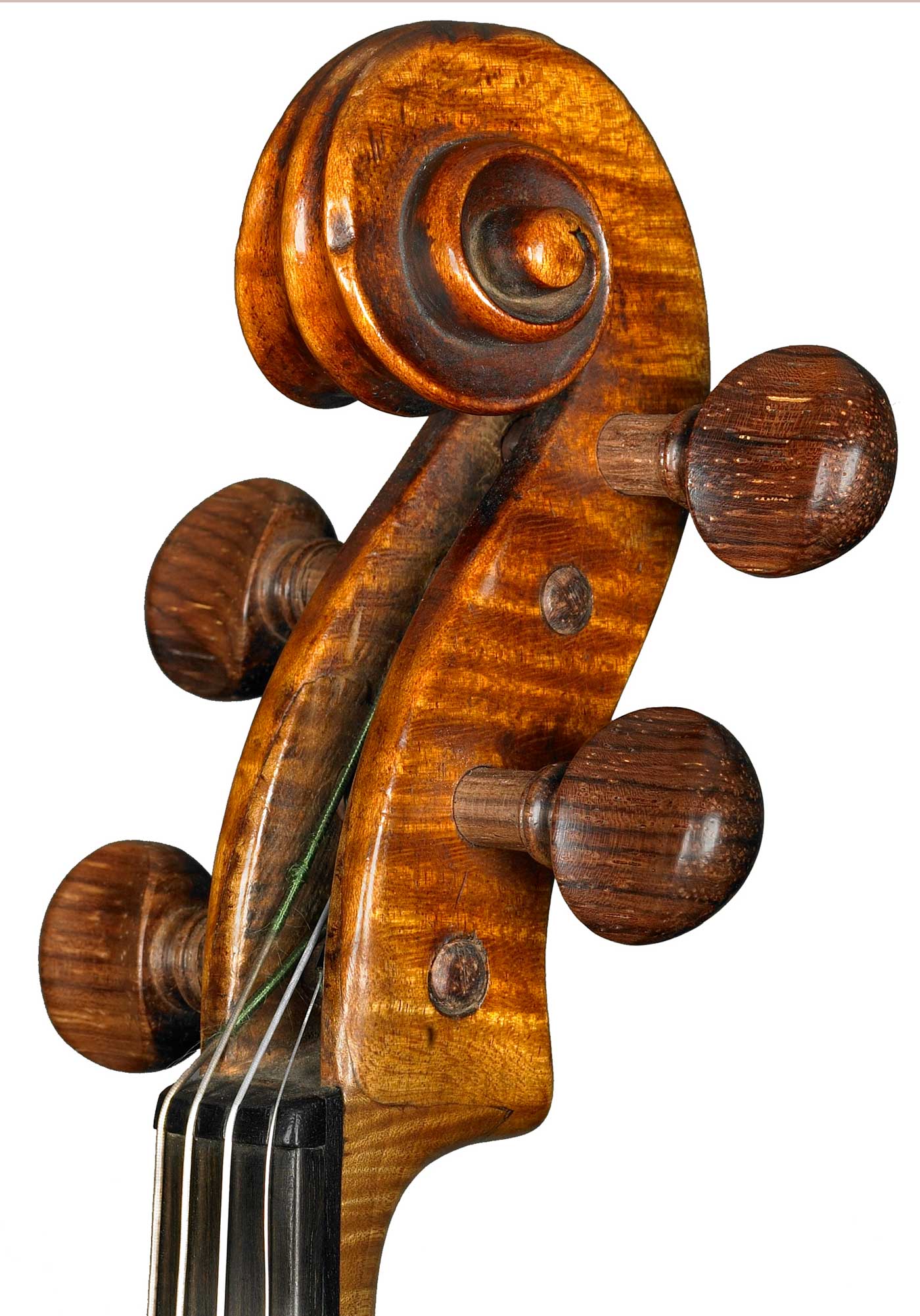 violino Soffritti 1914 - riccio