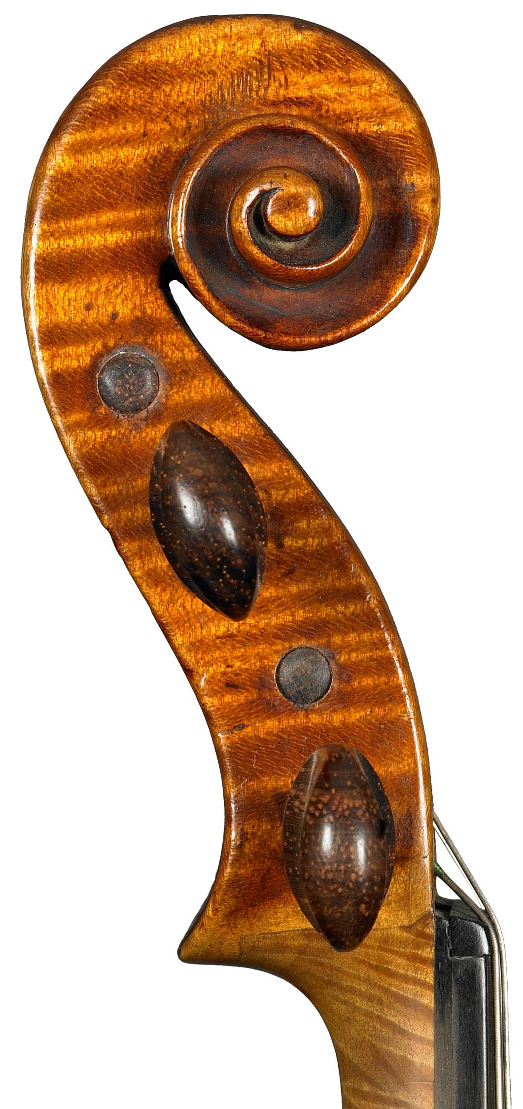 violino Soffritti 1914 - riccio