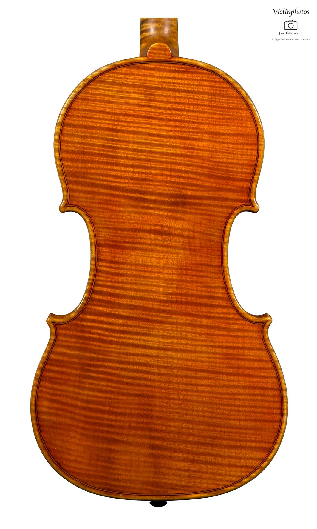 violino 2006