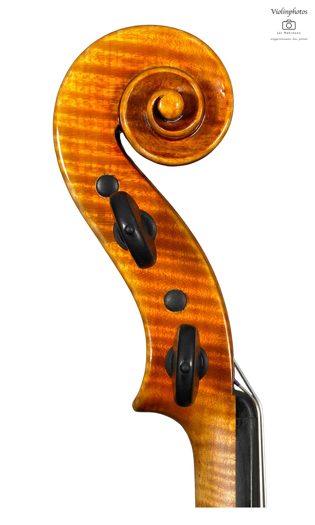 violino 2006