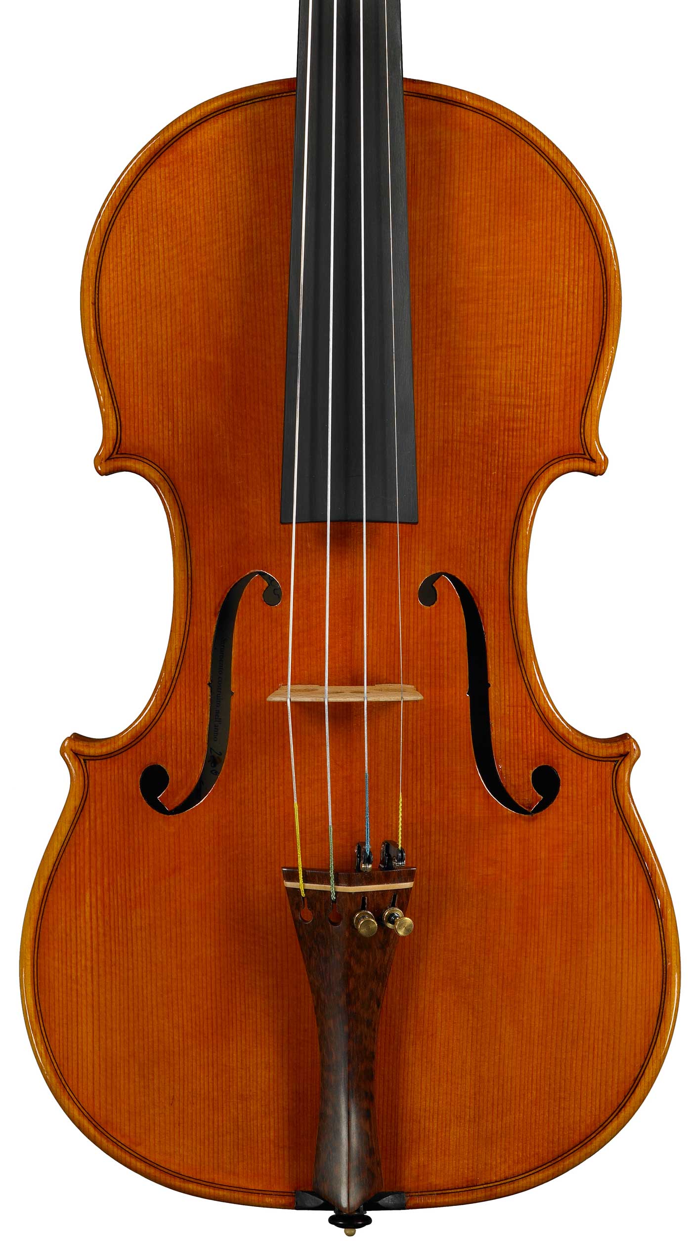 violino 2008