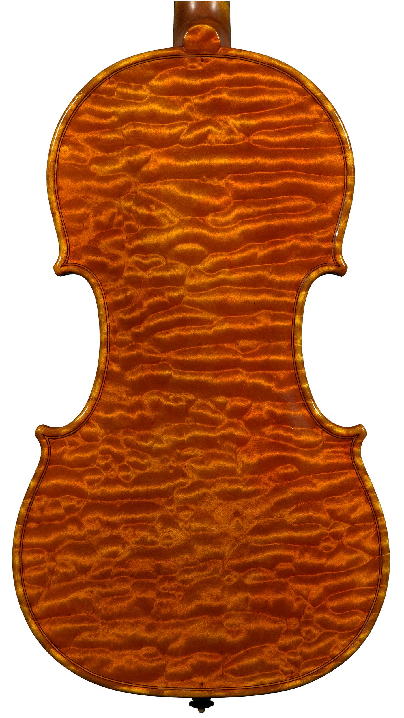 violino 2008