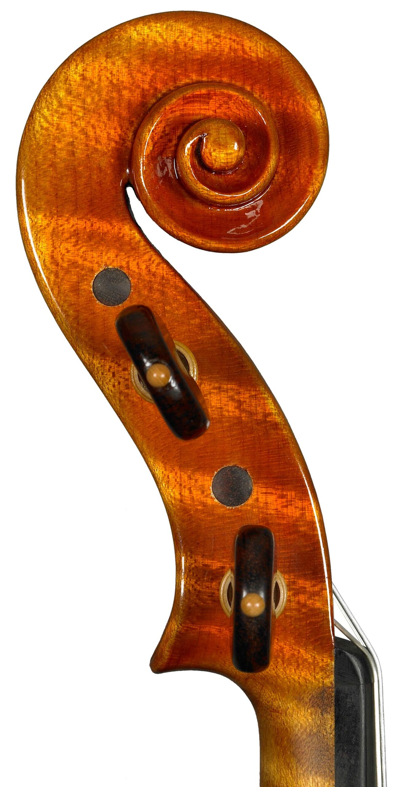 violino 2008