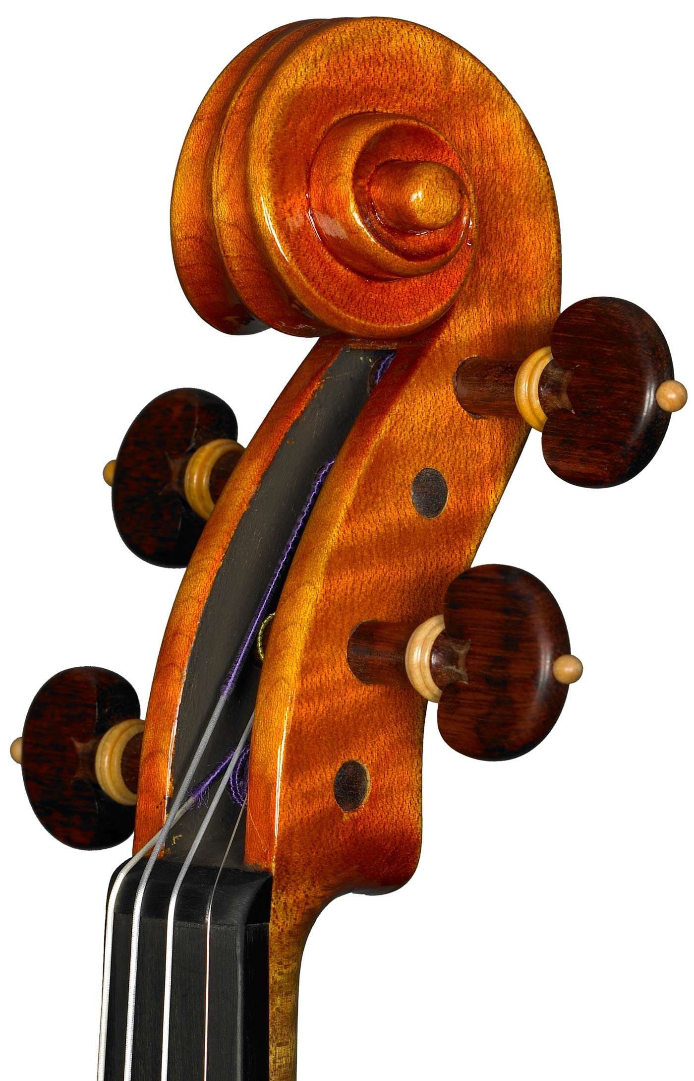 violino 2008