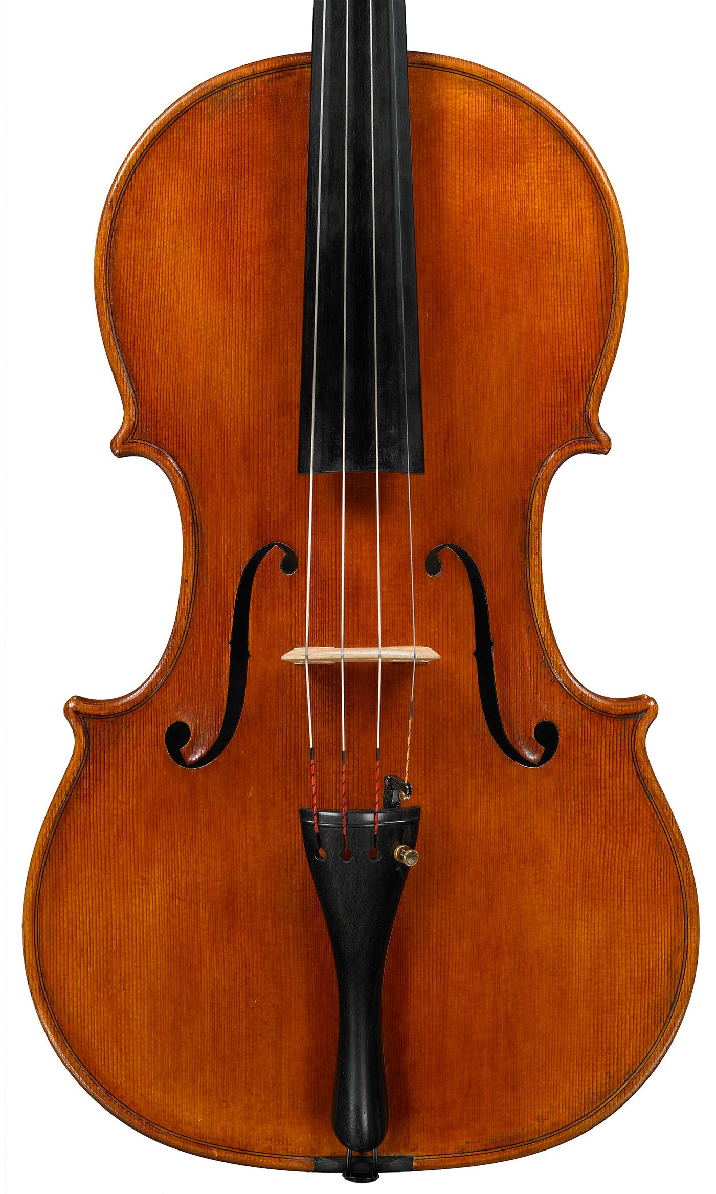 viola 41 2008