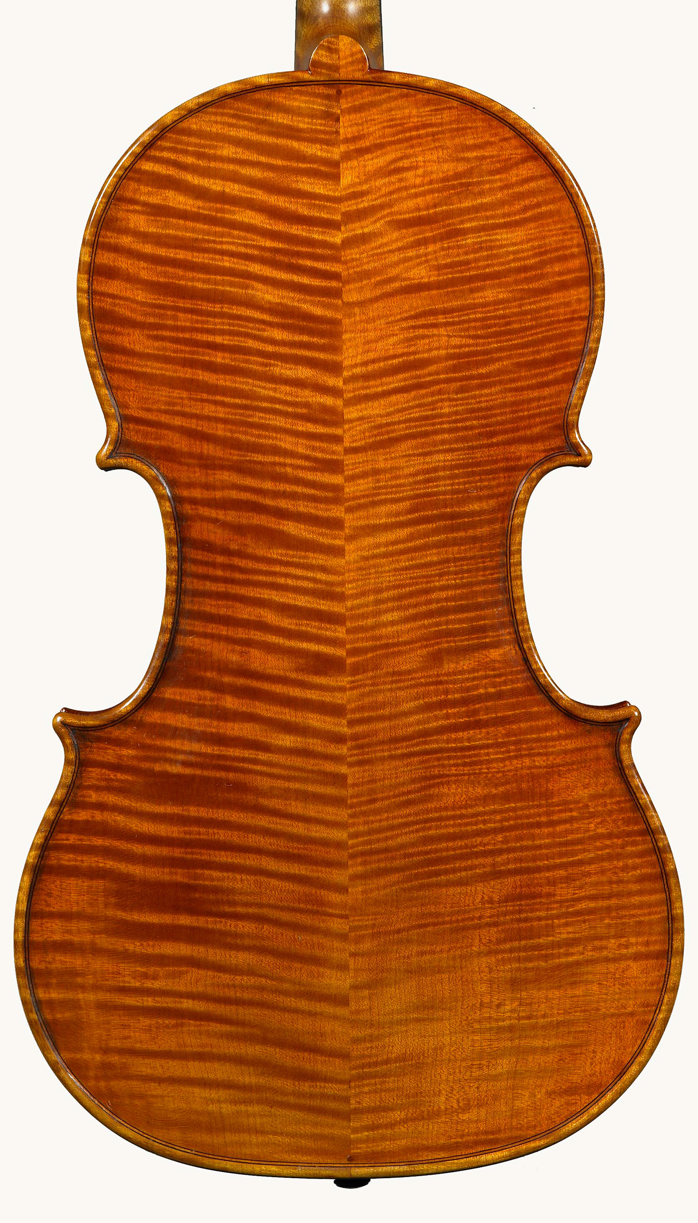 viola 41 2008