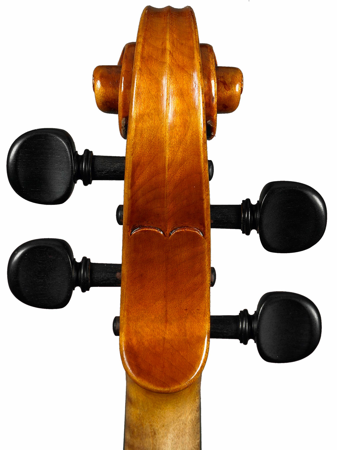 viola 41 2008