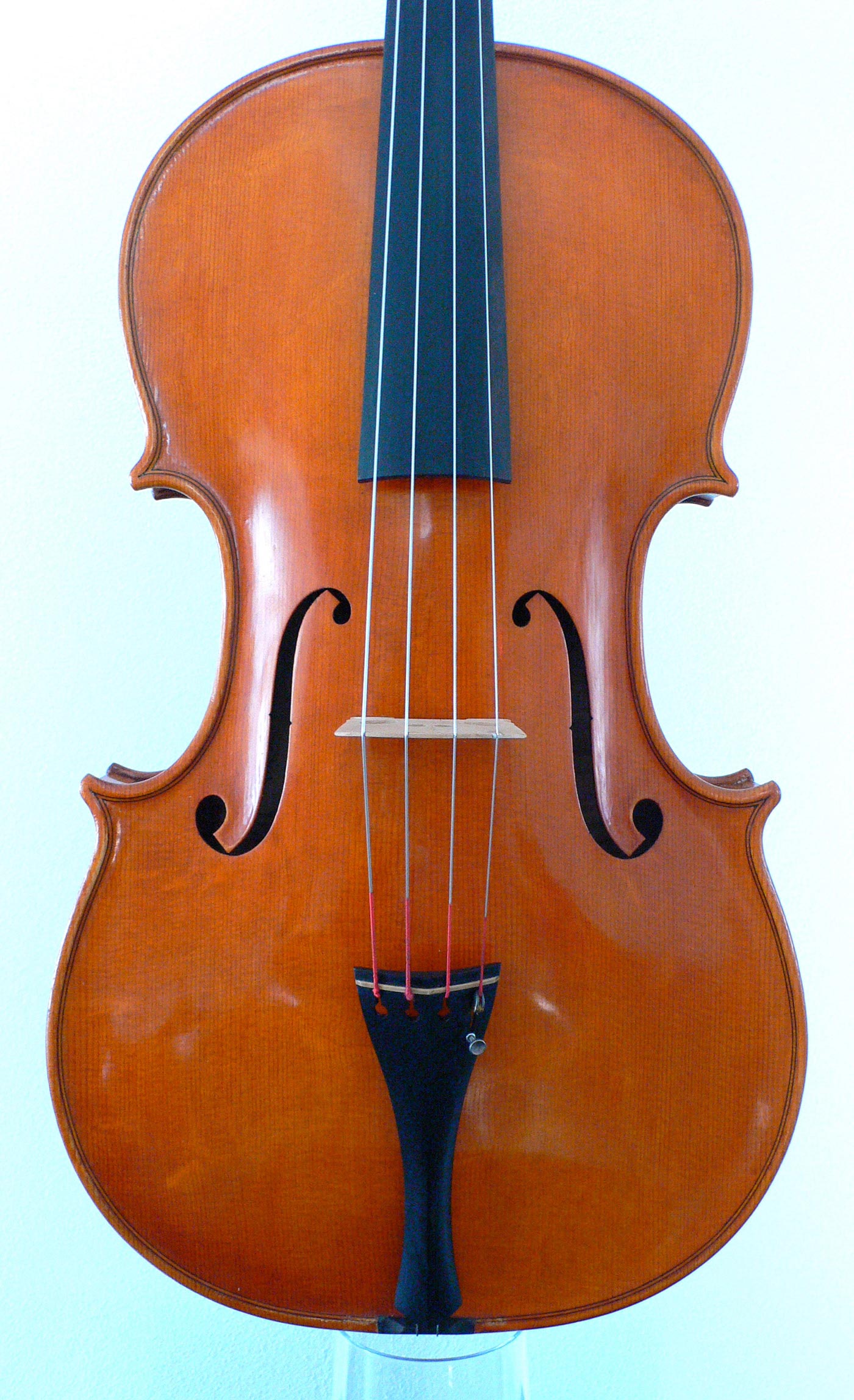 Viola 45 - 2013