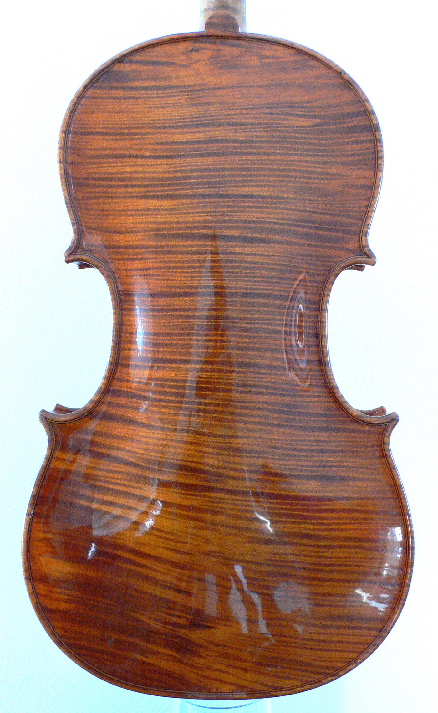 Viola 45 - 2013