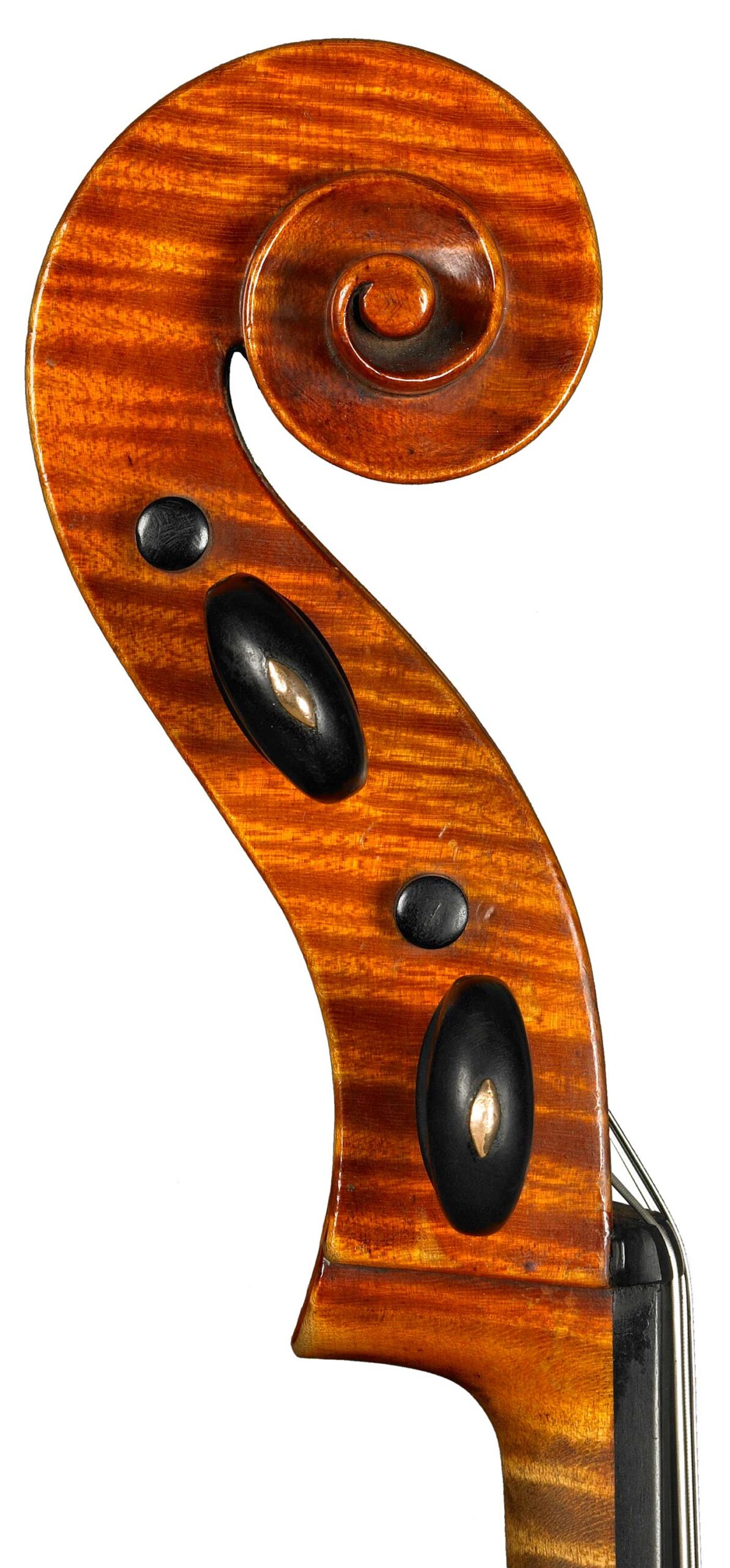 Violoncello Soffritti 1923