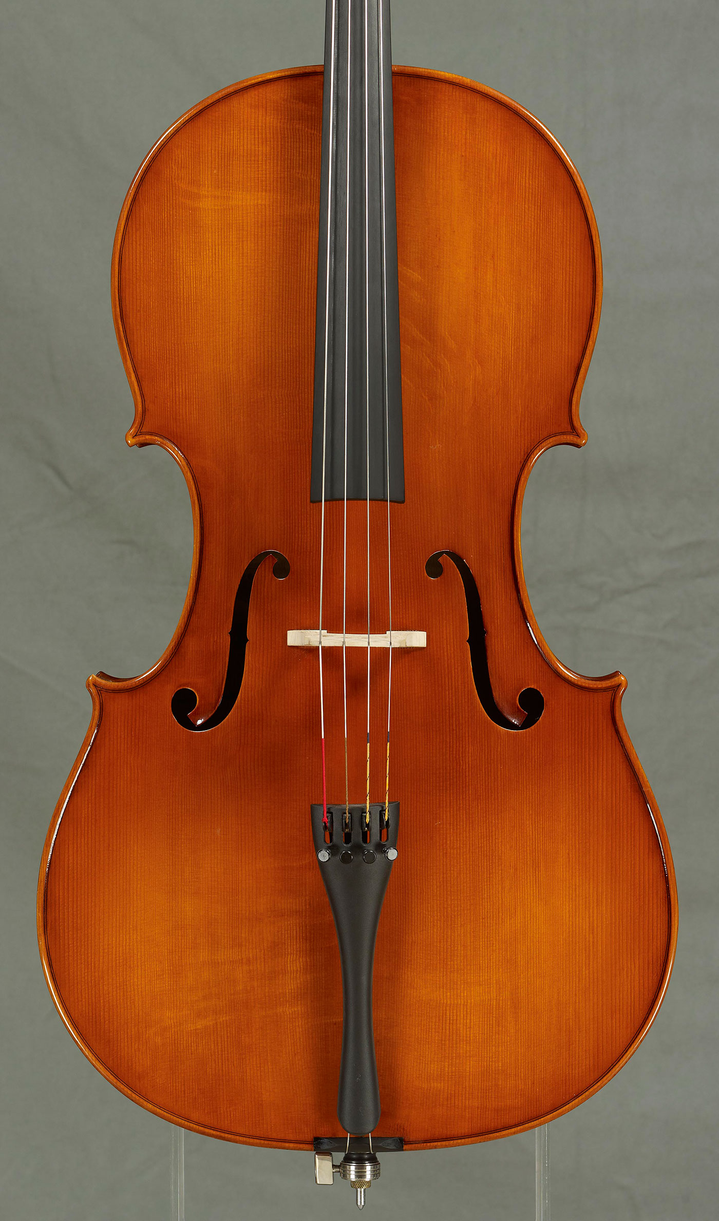 Violoncello 2010