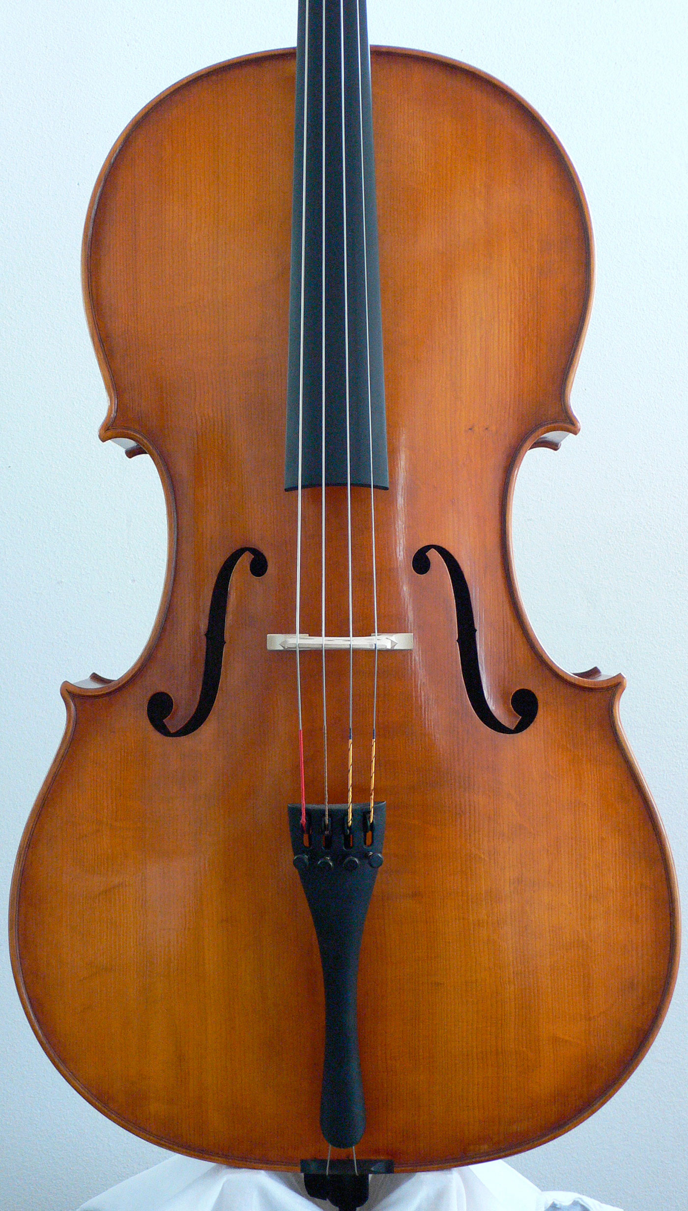 Violoncello 2014