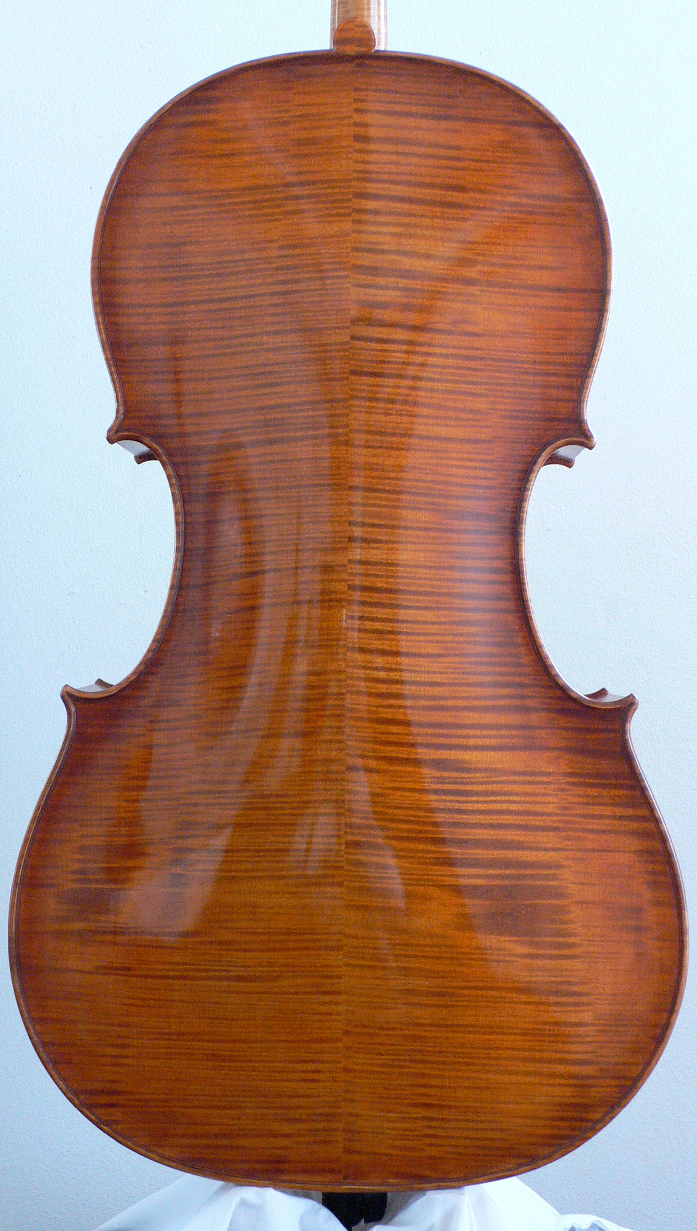 Violoncello 2014