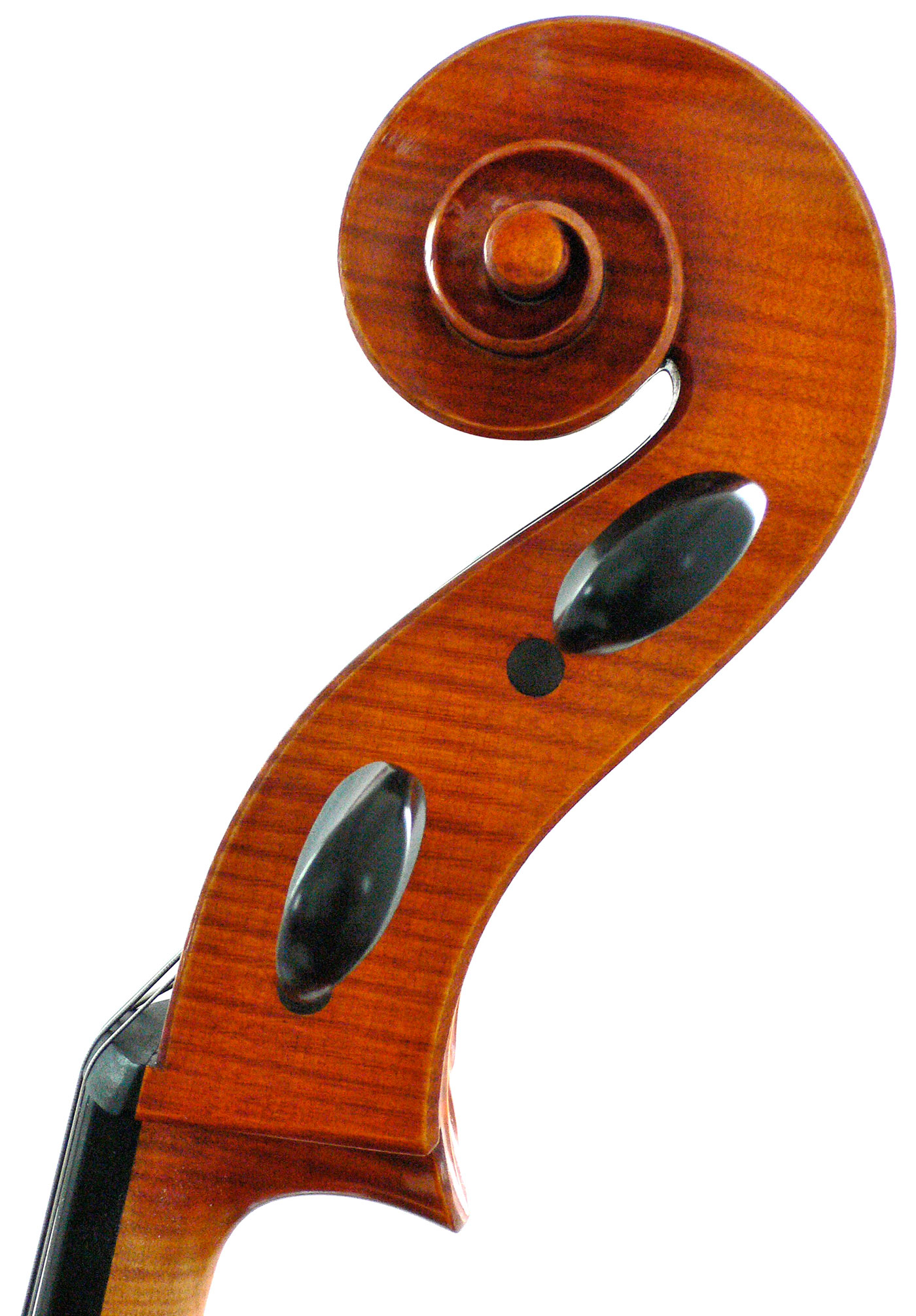 Violoncello 2014